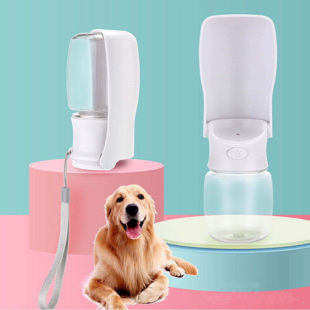 Folding Pet Water Dispenser