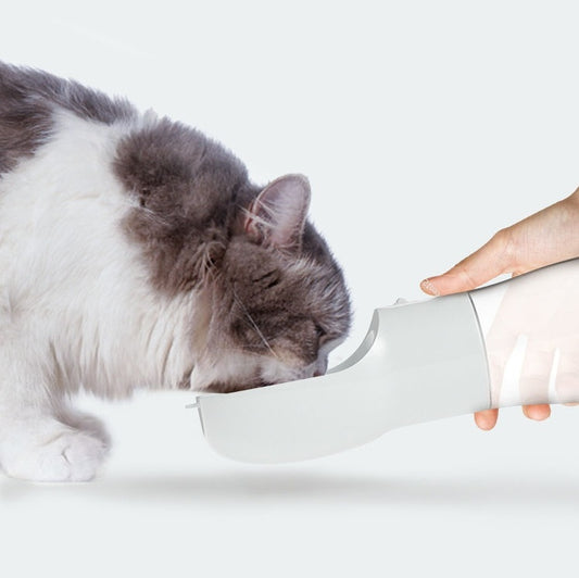 Portable Pet Water and Food Dispenser