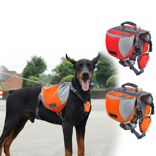 Dog’s Hiking BackPack