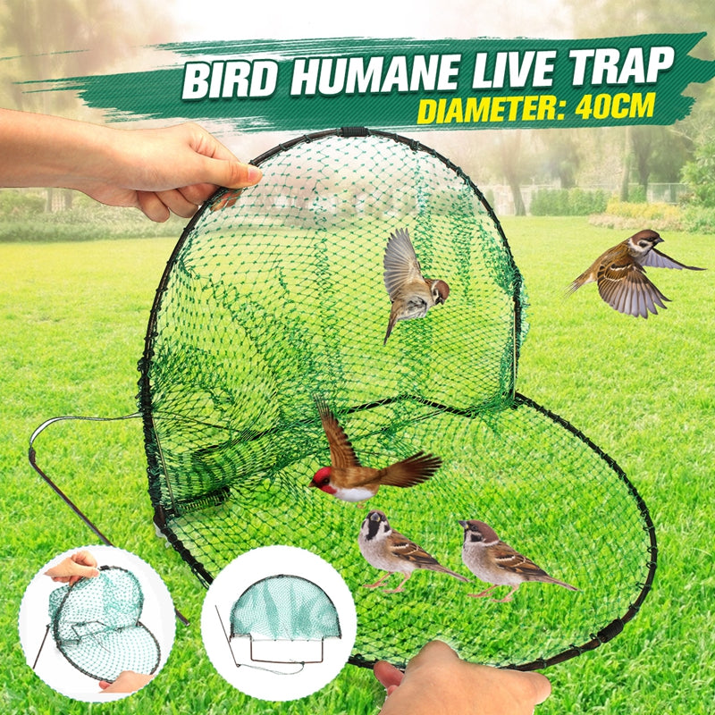 Bird Trap/Catcher