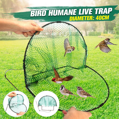 Bird Trap/Catcher