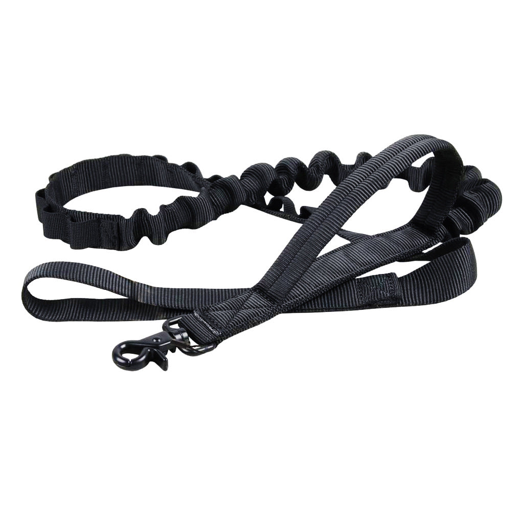 Dog Collar And Leash Set