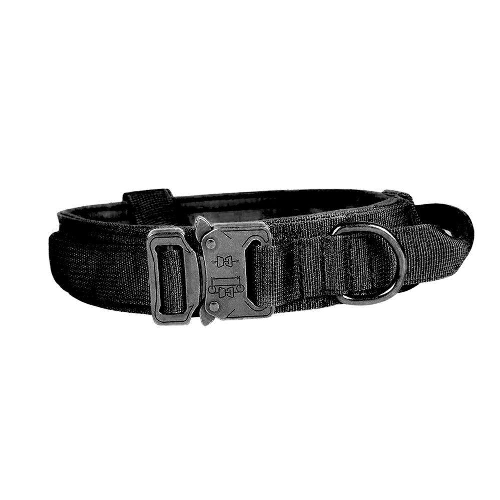 Dog Collar And Leash Set