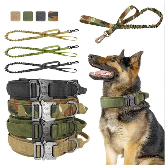 Dog Collar And Leash Set